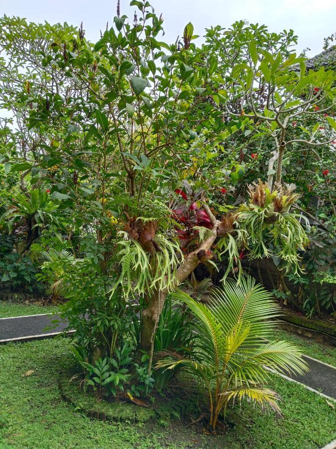 Bismajaya Bungalow Hotel Ubud  Bagian luar foto