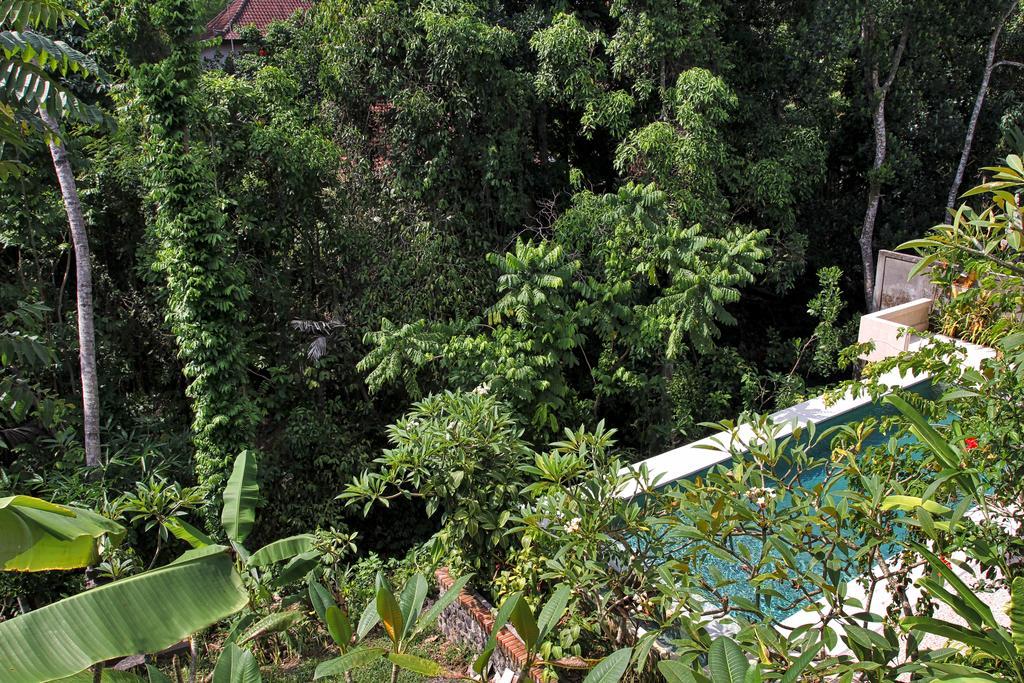 Bismajaya Bungalow Ubud  Bagian luar foto