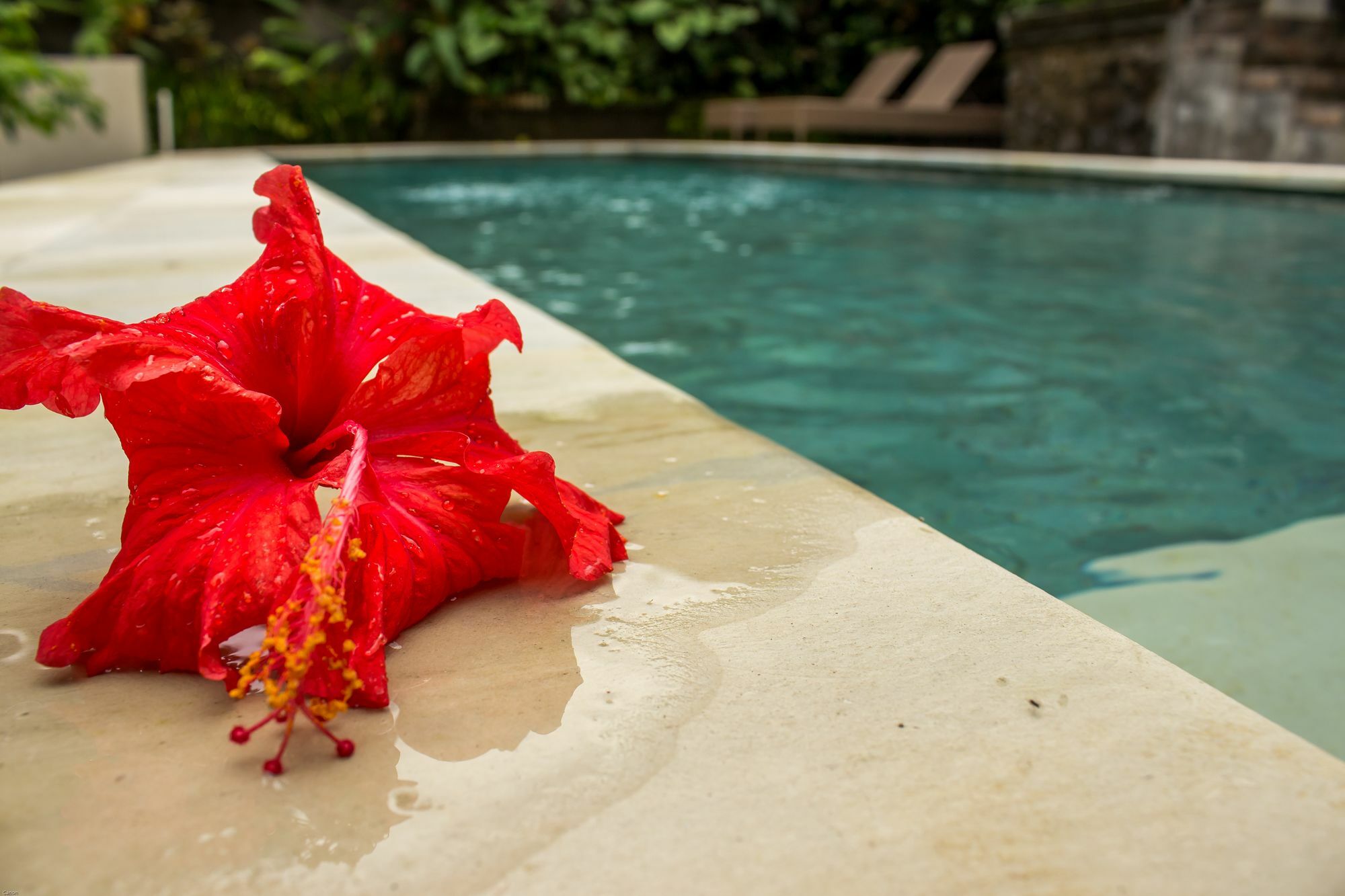 Bismajaya Bungalow Ubud  Bagian luar foto
