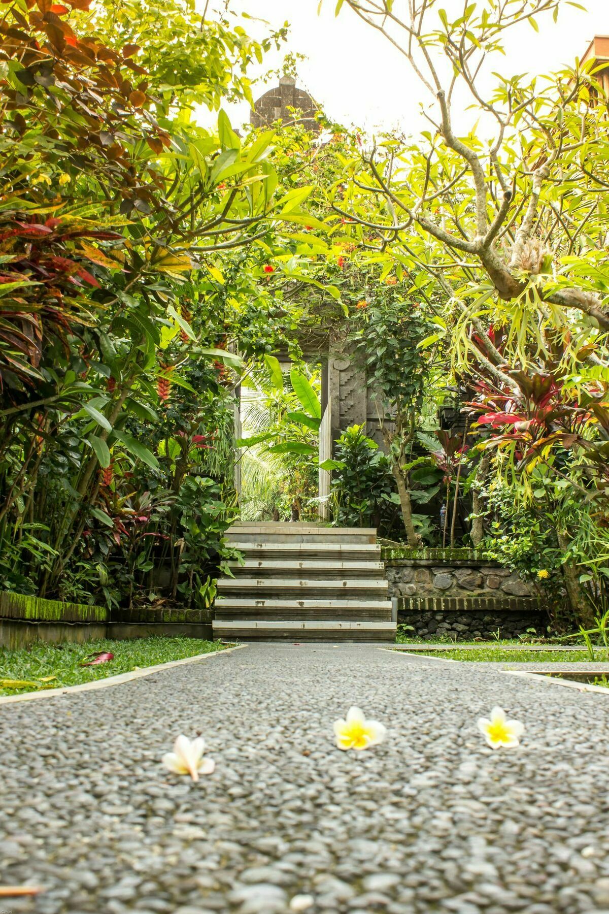 Bismajaya Bungalow Hotel Ubud  Bagian luar foto