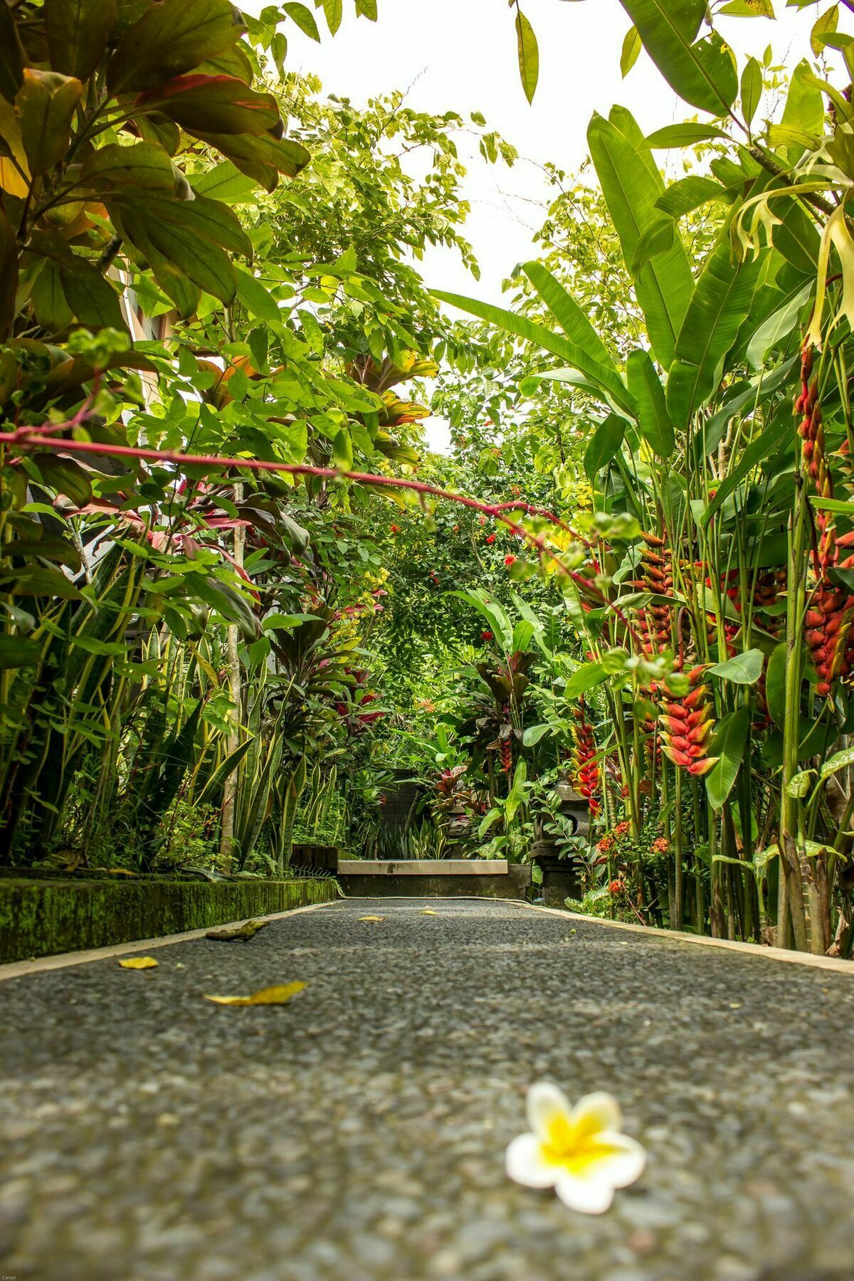 Bismajaya Bungalow Hotel Ubud  Bagian luar foto